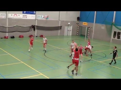 1516 Ijsselvogels momenten