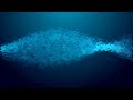 Tony Levin - Rivers Of Light ¬ Progressive Rock