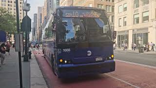 BM1, M4/M4Limited and SIM10 Buses