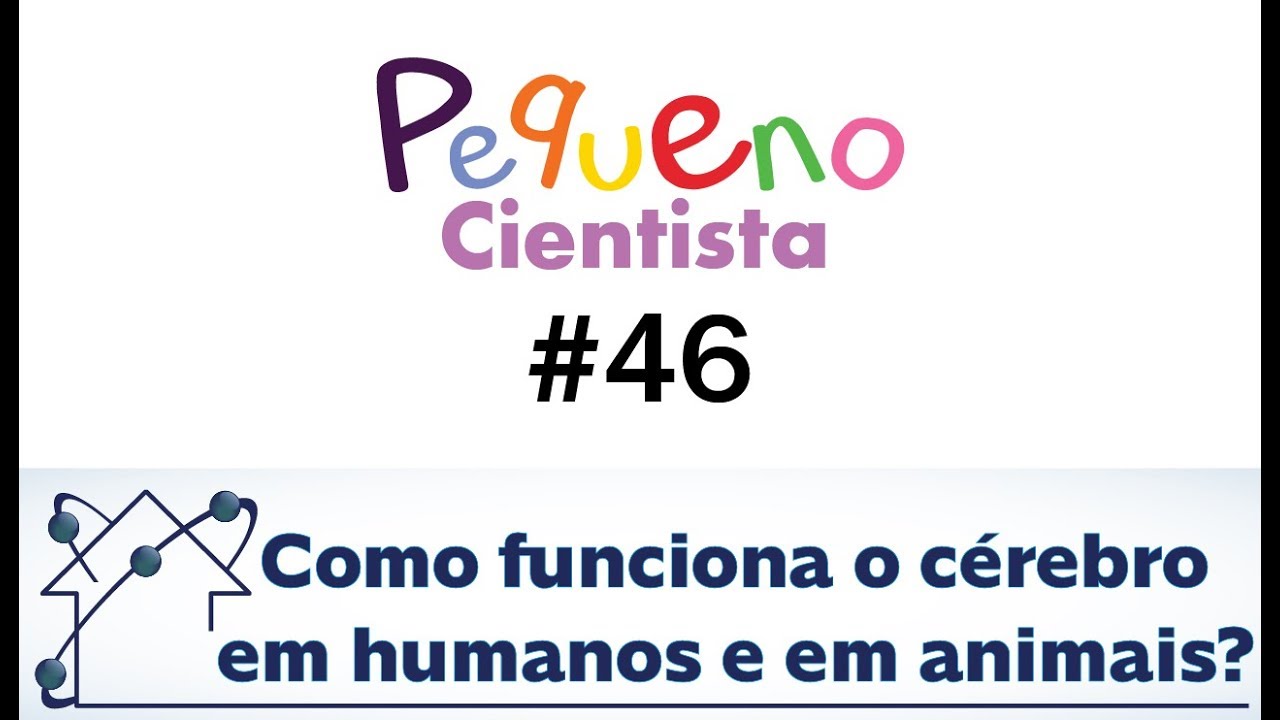 Introdução à Neurociência: Como funciona o cérebro em humanos e em animais?