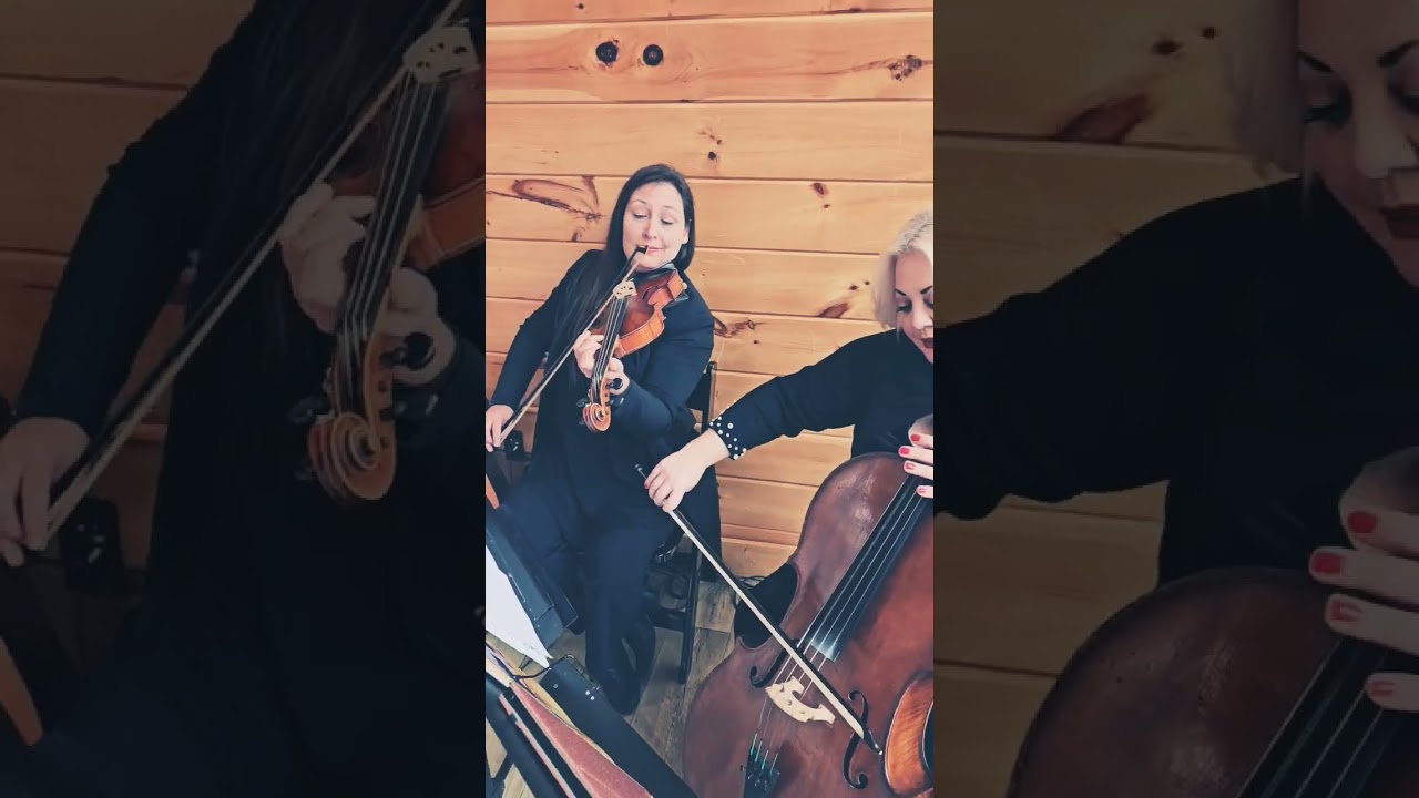 Promotional video thumbnail 4 for AP Strings