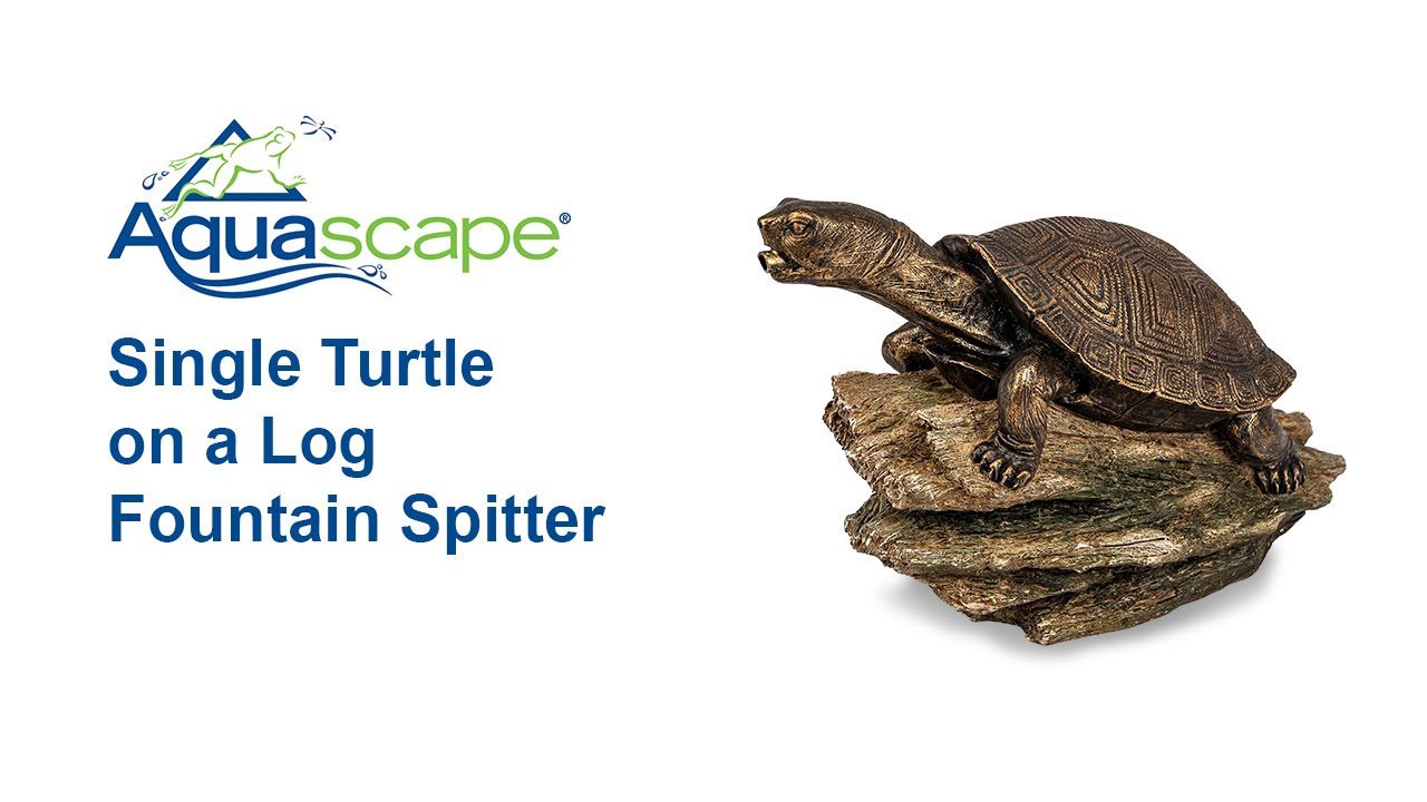 Single Turtle on a Log Fountain Spitter