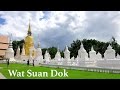 Обзор потрясающего храма Wat Suan Dok | Таиланд | Чианг Май | Кокосовое ...
