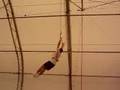 Trapeze School NYC 