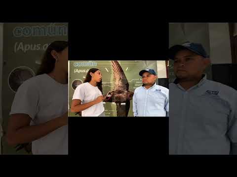 Entrevista a un funcionario de la CVC, Guacari. Proyecto de investigacion