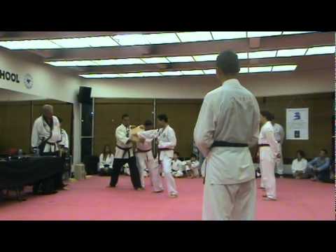 hawaii Hapkido final breaks