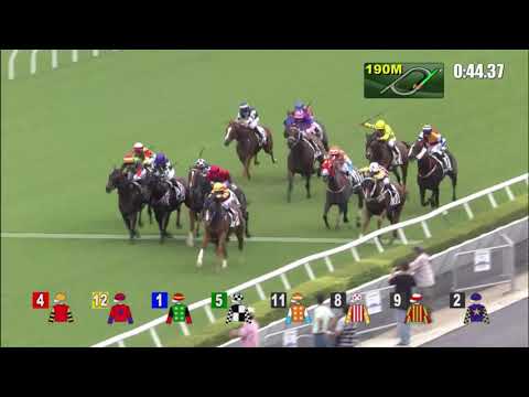 19/9/2021 (38) Cordyceps Six - Jerry Chau