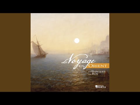 Si tus penas no pruebo