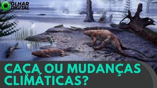 Miniatura do vídeo