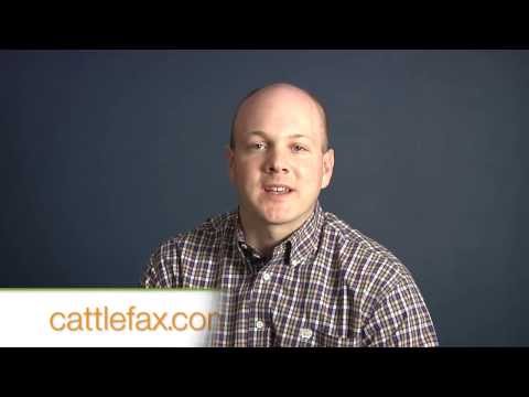 Retail Beef Advertising Adjusts with Higher Costs