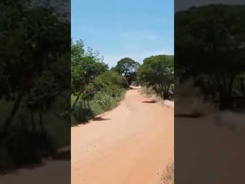 1295  SADHGURU  Silence Mastery Learn How to Quiet Your Mind Effectively pt 36