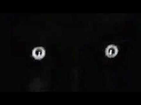 Not ending till I get Diamond