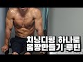 헬스장보다 집에서 치닝디핑 하나로 보디빌더처럼 벌크업 몸짱만들 수 있는 3가지 루틴? (Calisthenics Home Training, 2020 Workout Routine)