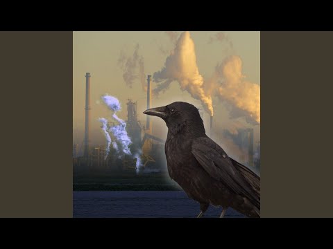 Hart En Hoofd Op Hol