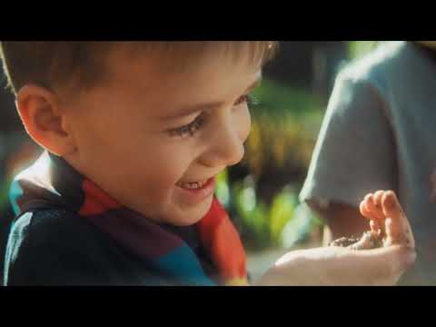 Plant the seeds of success.