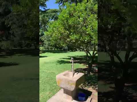 CORONEL SUÁREZ , BUENOS AIRES