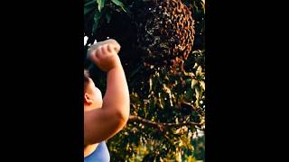 Download lagu ADEGAN BERBAHAYA ...Tidak untuk ditiru ‼️ mp3