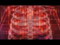Dean Rodell - Histolysis (Fan Made Music Video)