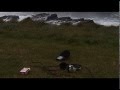 Piedras y palos (Dot Tape Dot documentary, 2008)