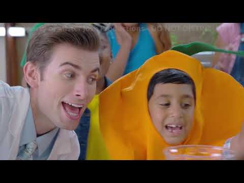 Ready, Set, Grow!: Introducing Hydroponics - Mr. Josh's Kool School @mr.joshskoolschool2046