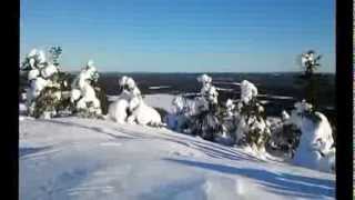 preview picture of video 'Pyhävaara snowshoe hike!'