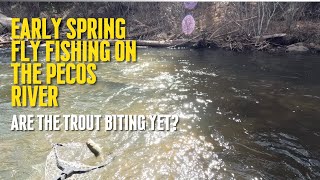 Early Spring Fly Fishing on the Pecos River – Are the Trout Biting Yet?#rainbowtrout #browntrout