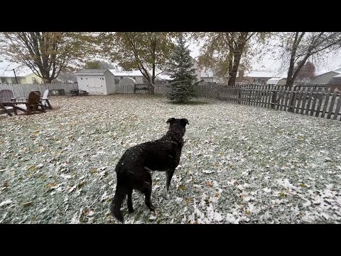 Snow in southwest Fort Wayne