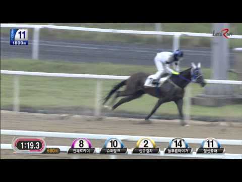 Vincero K - Djordje Perovic (June 20, 2015)