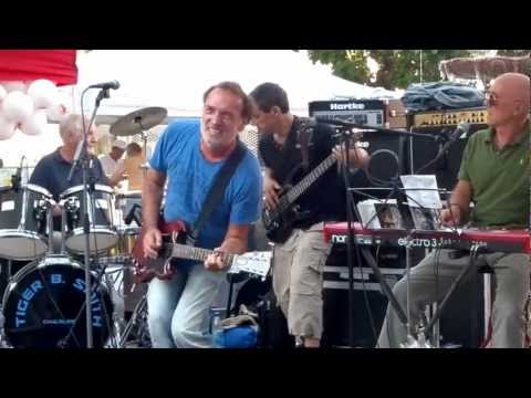 Tiger B. Smith - She loves my automobile