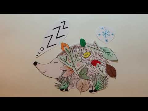 Der Igel hält Winterschlaf