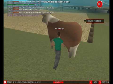 NewCity RPG Macedonia - Mark Huston [speed hack]