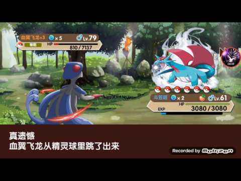 血翼飛龍