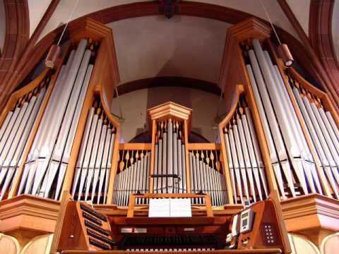 Antonio Salieri: Organ Concerto - Allegro assai (2.)