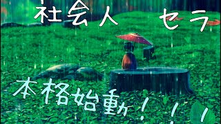 【初投稿】社会人セラ　始動！！