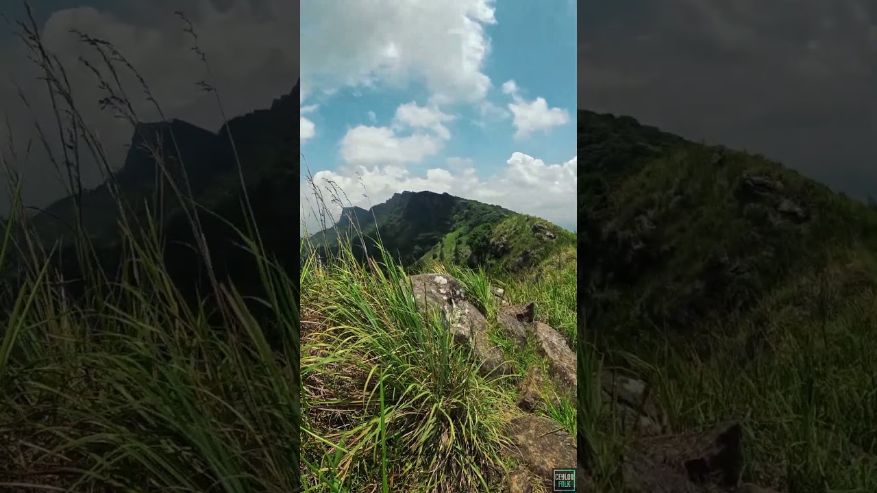 YouTube Short thumbnail