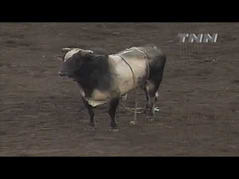 Jesse James bucks Jim Sharp - 00 PBR Oklahoma City