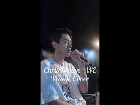 Chris Brown - WE (Warm Embrace) (Waide cover)