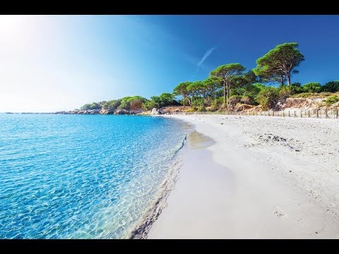 En la arena-Arjenys & Benety X Wend Lee  (Official Audio)