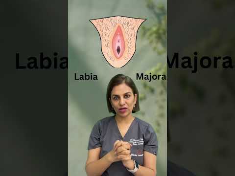 What is Labia Majora? #Labia #femaleanatomy #AsktoDrSurbhi