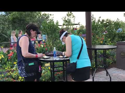 The Honey Bee-Stro (La Florida_May.2017)