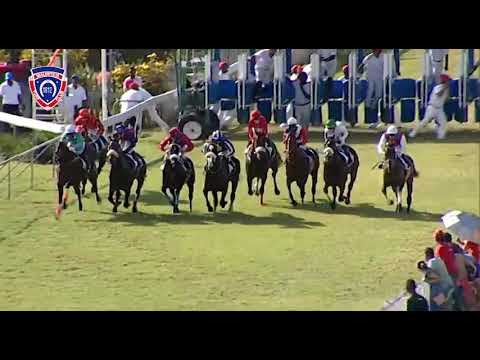 RM37 R6 - Rap Attack