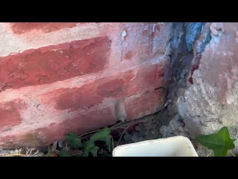 Closing Up the Entry Points for Mice in Avon by the Sea, NJ