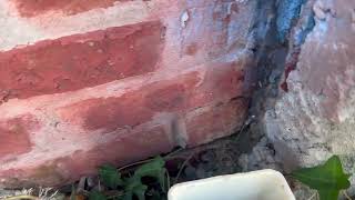 Watch video: Closing Up the Entry Points for Mice in Avon by the Sea, NJ