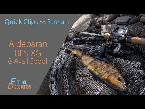 Shimano Aldebaran BFS XG: Catching Trout on 1/16th oz Jerkbait & Avail Microcast Spool