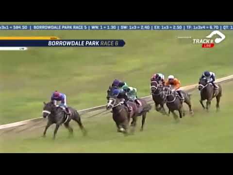 2020.03.15 Breeders Champions Cup (ZIM) - Peggson