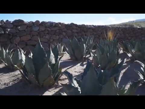 Tequila CLASE AZUL MEZCAL Durango video