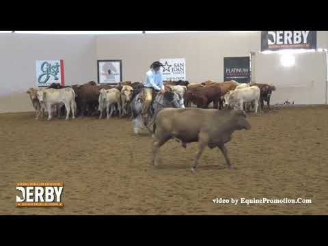Dualin Stargun ridden by Justin E. Lawrence  - 2016 NRCHA Derby (FINALS - Herd Work, Open)