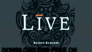 live   Brothers Unaware   Mental Jewelery   YouTube