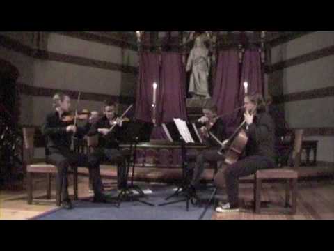 Quartetto Testosterone - Philip Glass - String Quartet No. 5 - 5th Movement