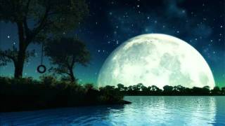 David Sylvian   Silver Moon